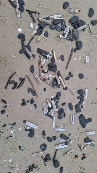 Strandjutten in Callantsoog